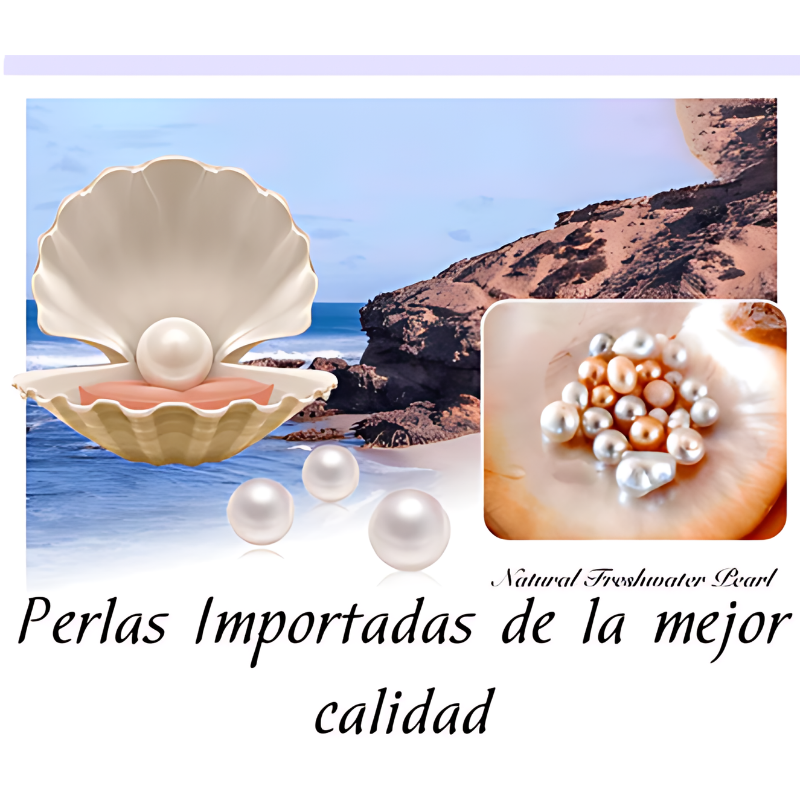 Collar Cisne